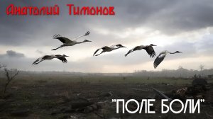 Анатолий Тимонов - "Поле боли" (2025 г.)