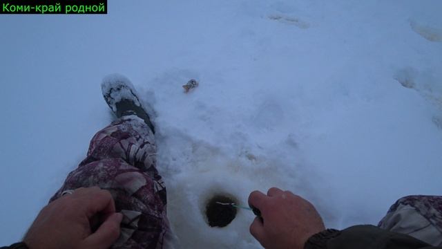 Рыбалка 13 декабря.Трудовая.