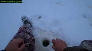 Рыбалка 13 декабря.Трудовая.