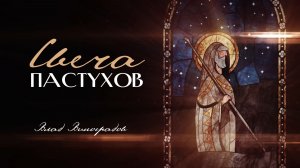 14.12.25 Калининград. «Адвент - Свеча пастухов» - Влад Виноградов