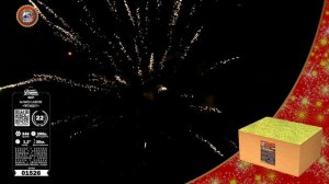 01526-01527 Президент