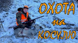 Охота на косулю / Охота в Сибири / Загонная охота