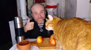 завтрак с Рыжулей. профтравма. спасибо за донат. мукбанг. обжор. еда на камеру. диета. шизофрения.