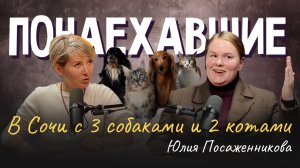 Подкаст "Понаехавшие". Эпизод 8. Инструкция по переезду в Сочи от Юлии Посаженниковой.