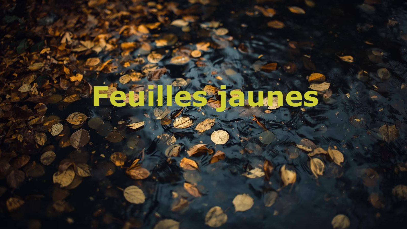 Желтые листья (Feuilles jaunes)
