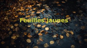 Желтые листья (Feuilles jaunes)