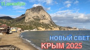 КРЫМ 2025 | ПРОГУЛКА ПО НОВОМУ СВЕТУ | 11 декабря ❤️🌊⛰️🏖️☀️🐬🏄♂️