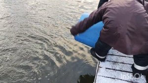 14.12.25. Зарыбление VIP зоны форелью.