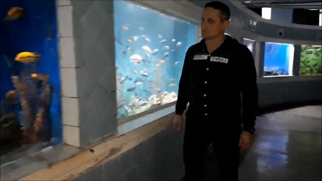 Аквариум в Батуми.