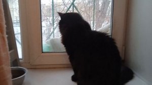 Дома тоже хорошо.