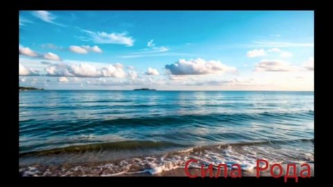 Полюби свое тело