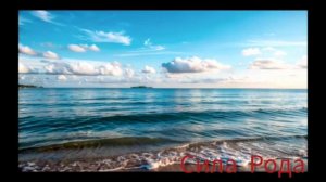 Полюби свое тело