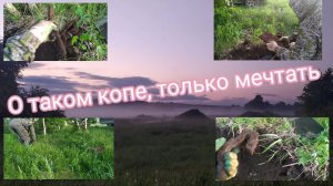 МЕТАЛЛОКОП!!! Опять копаю Схрон ЖелезноДорожников.Уже вывез 3,5 тонны, а он все не заканчивается!!!