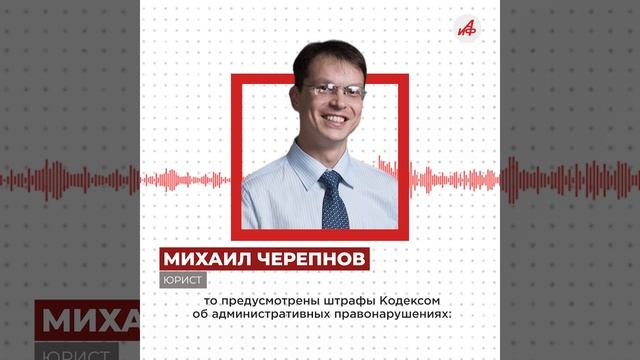 Как установить ёлку в подъезде и не получить штраф. Советы юриста