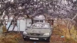 Битва за Гуляйполе