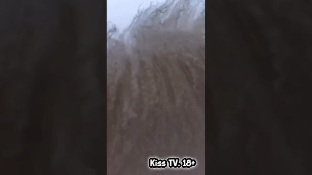 Шаловливые девочки от "Kiss TV. 18+". 18+. Эротика