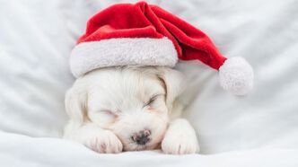 ХИТЫ ШАНСОНА 2025 Музыка Любви и Души голос