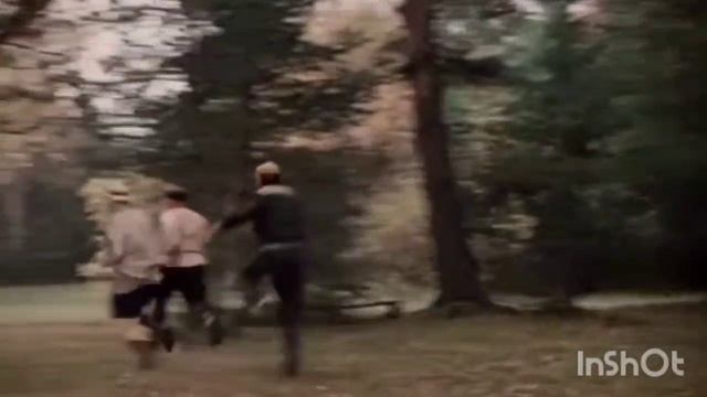 Заготовка дров на зиму 14.12.2025