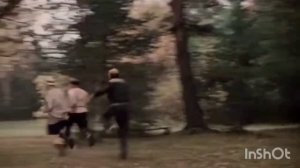 Заготовка дров на зиму 14.12.2025