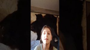 как живёт мой кот