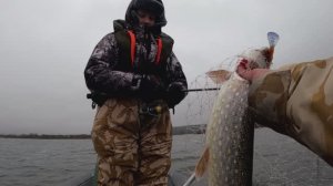 Осень 2025! (20) - Зима не торопится (3)!