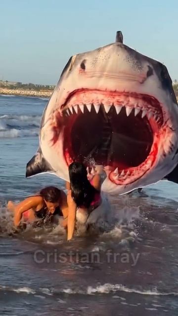 Подкравшаяся акула! 😂 Пранк, @73073226832