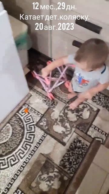 12 мес.,29 дн.Катает детскую коляску.20 авг.2023.mp4