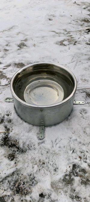 Делаю поилку с подогревом для собак