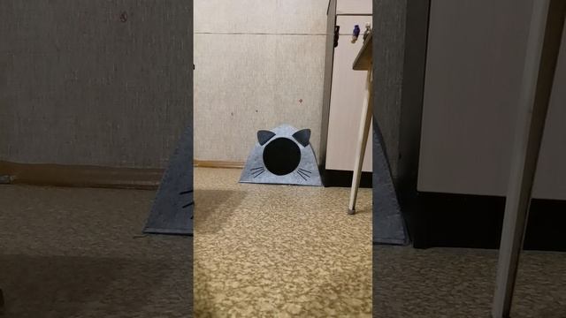 4 ceзoн игpa в кaльмapa