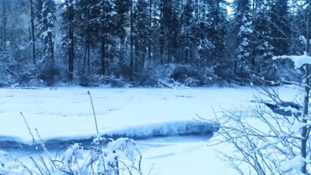 Новогодняя ночь