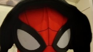 пробрался домой к стримеру