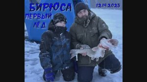 Рыбалка бирюса декабрь 2025