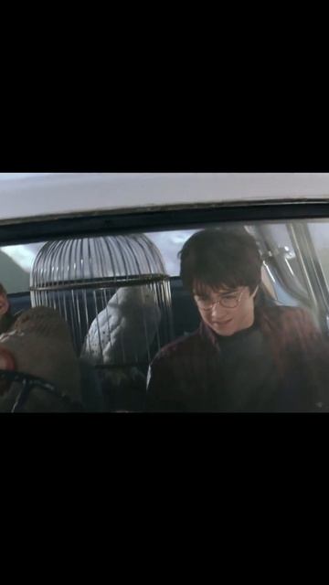 Процесс лепки уже в приложении 🤍Артикул на воздушный пластилин WB: 306927157 / OZON: 1778186029😍🌟 смотреть онлайн