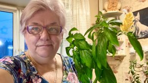 #1-15.12.25 🌹МОЯ ЗОЛУШКА СЕГОДНЯ ПО ЦВЕТАМ