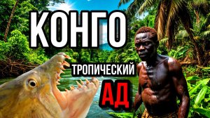 КОНГО- Дикая Природа Тропических лесов Африки!