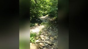 🏝️⛵Свирское ущелье 🏝️р.Свирка 🏝️Лазаревское,Сочи 🏝️02.072025🏝️⛵