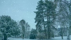 Футаж. Зимний пейзаж 147