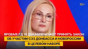 Яровая: ГД 18 декабря может принять закон об участии СЭЗ Донбасса и Новороссии в целевом наборе