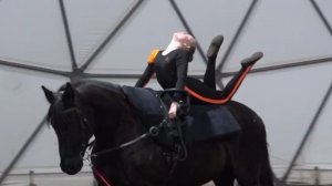 В Брянске прошли первые соревнования по вольтижировке для юных спортсменов