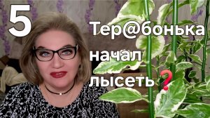Тер@бонька начал ЛЫСЕТЬ❓️
