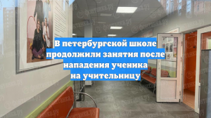 В петербургской школе продолжили занятия после нападения ученика на учительницу