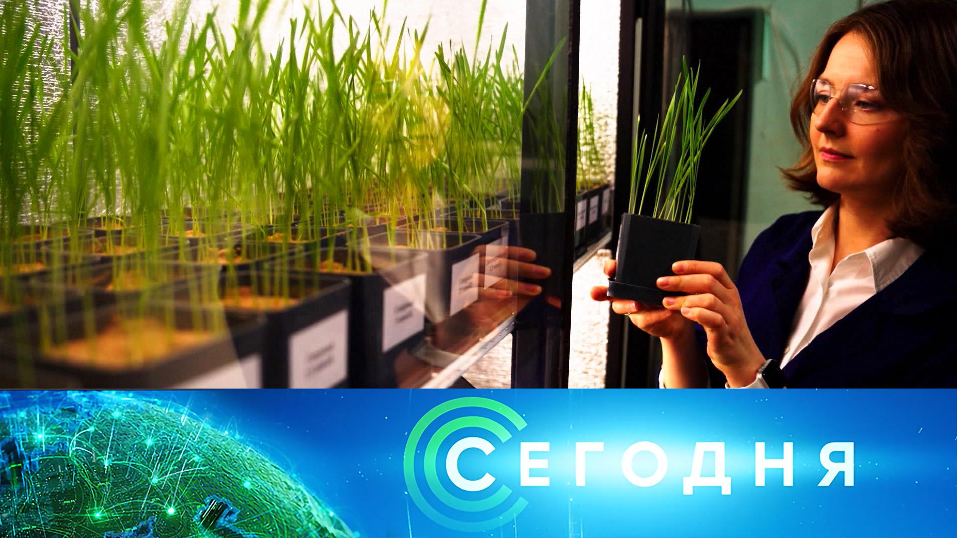 «Сегодня»: 15 декабря 2025 года. 16:00 | Выпуск новостей | Новости НТВ