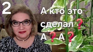 А кто это сделал❓️А❓️А❓️