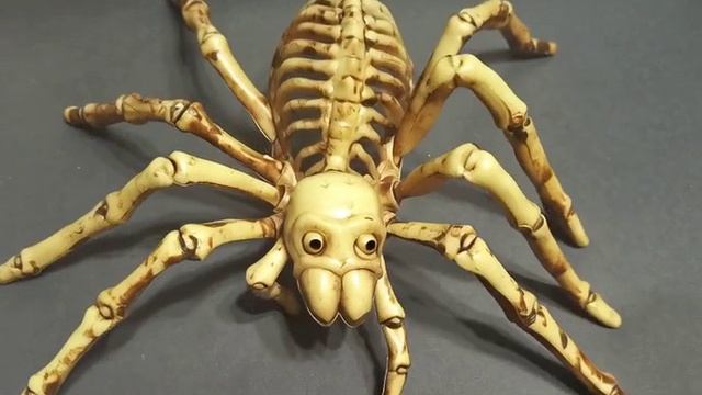 736d468dd9c411f082ae560d7770ebb3