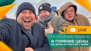 ЗИМА НА ЮГЕ 🥶 Как пожарить РАПАНА и купить себе ДОМ МЕЧТЫ на побережье АЗОВСКОГО моря? 😁