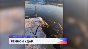 В Павловском округе временно закрыт понтонный мост через Оку