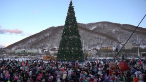 РАЗ, ДВА, ТРИ! ЁЛОЧКА, ГОРИ!