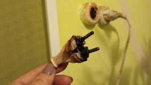 Пожара не случилось. Вовремя запах почувствовала. Птица будет без отопления.