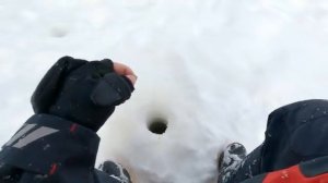 ЗАКОРМИЛ ЛУНКУ, ПОДОБРАЛ МОРМЫШКУ и ДЕЛО ПОШЛО! ПЛОТВА на БЕЗМОТЫЛКУ