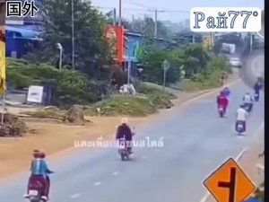 Четвероногий нарушитель ПДД